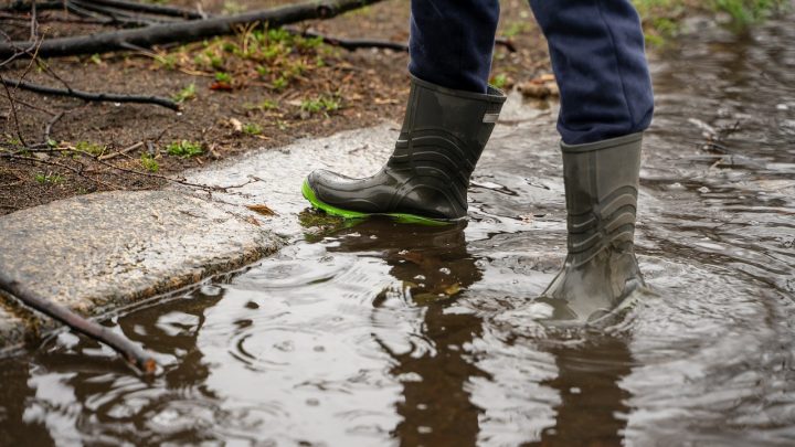 Gumowce – obuwie robocze stosowane w środowisku mokrym